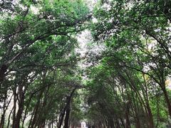 -灵谷景区