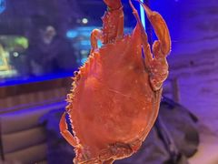 -奔海甄选·活鲜刺身铁板烧自助(太原里店)