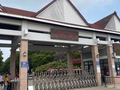 -上海都市菜园