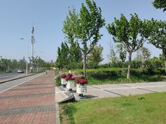 -上海山野camping·户外天幕烧烤·团建拓展营地