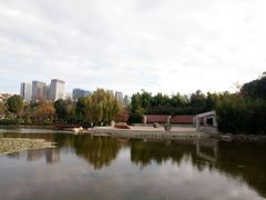 -洛龙公园