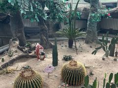 -鄂尔多斯野生动物园