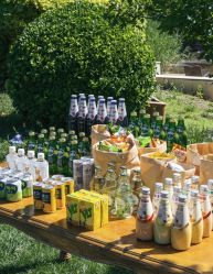 -美薇亭婚礼顾问