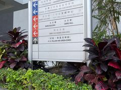 -香港大学