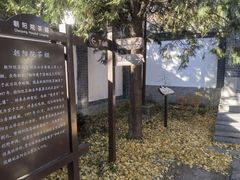 -阳台山自然风景区