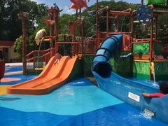 -新加坡飞禽公园