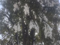 -涂山风景区