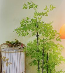 -变美丽半永久纹眉连锁·机器野生眉•洗眉