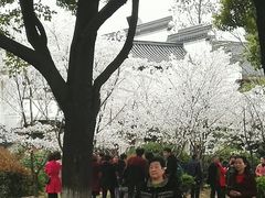 -堤角公园