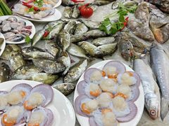 -肥弟大排档(汕樟路店)