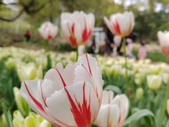 -无锡梅园公园