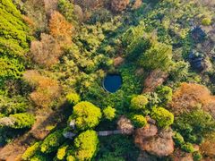 -山王坪喀斯特国家生态公园