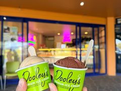 -Dooley's Premium Ice Cream