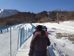 -亚布力新体委滑雪场