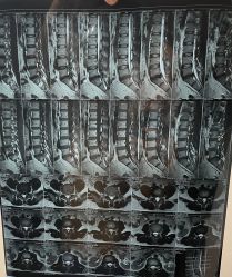 -广州萨谛艾扬格瑜伽中心