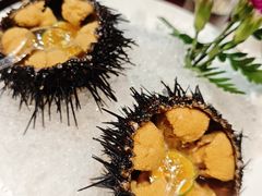 -日月昇渔家菜·海肠捞饭·大连海鲜(星海公园店)
