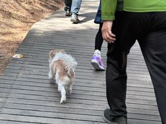 -帽儿山国家森林公园