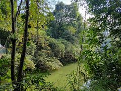 -中国科学院西双版纳热带植物园