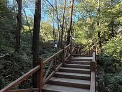 -大岭沟猕猴桃谷风景区