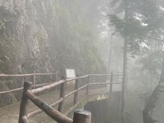 -秦岭天竺山景区