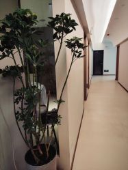 -侒悦缦月子中心·疗愈园区(龙岗店)