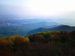 -紫金山山顶公园