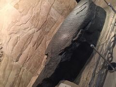 -白鹤梁水下博物馆