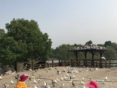 -苏州吴中太湖旅游区