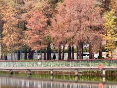 -四海公园(南山区)