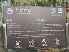 -都江堰中华大熊猫苑