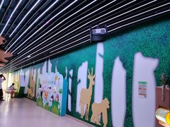 -苏州青少年科技馆