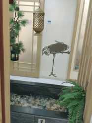 -芳朵美容养生SPA