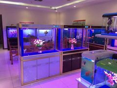 -中环花鸟鱼虫市场