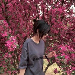 -木北造型