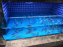 -徐记海鲜(梅溪新天地店)