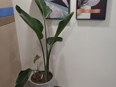 -安肯心理咨询(长宁旗舰店)
