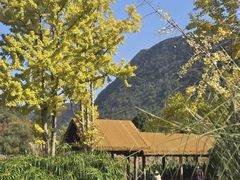 -贵阳市花溪国家城市湿地公园