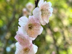 -桃花涧
