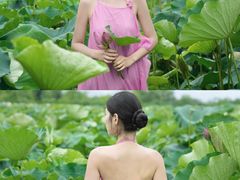 -陶辛水韵