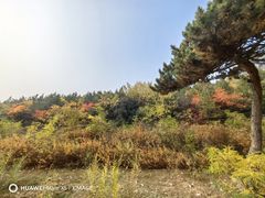 -古崖居风景名胜区