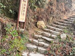 -杨家堂村