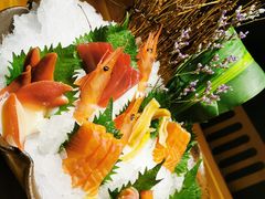 刺身拼盘-割烹旭日本料理(龙湖狮山天街店)