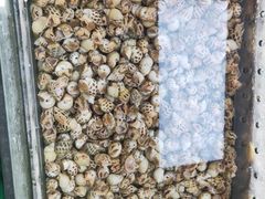 -马王堆海鲜水产市场