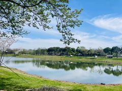 -贡湖湾湿地公园