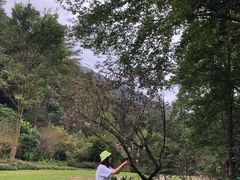 -黄公望隐居地
