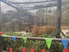 -海南热带野生动植物园