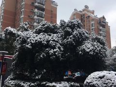 -杭州西湖风景名胜区北街寻梦停车场