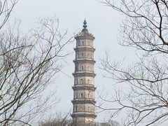 -巢湖姥山岛