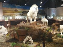 -陕西自然博物馆