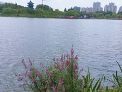 -凤城河风景区